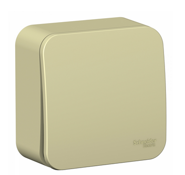 Schneider Electric  BLANCA  Бежевый Выключатель  1-клавишный  открытая установка BLNCA101017